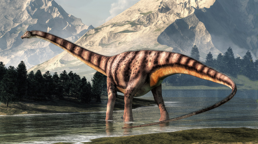 Sauropods Long-Necked featured